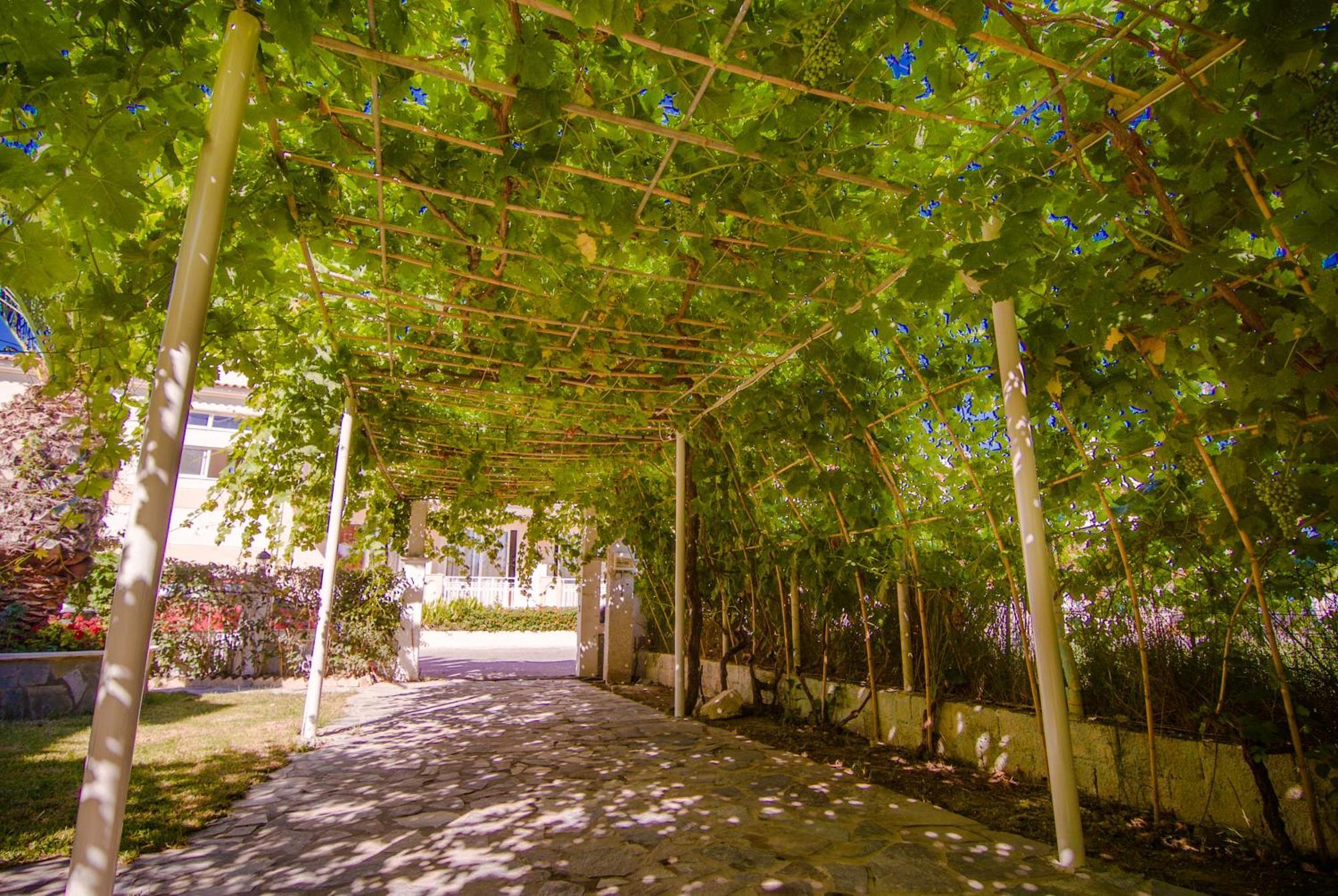 Sea Side Studios Tsilivi  Exteriér fotografie